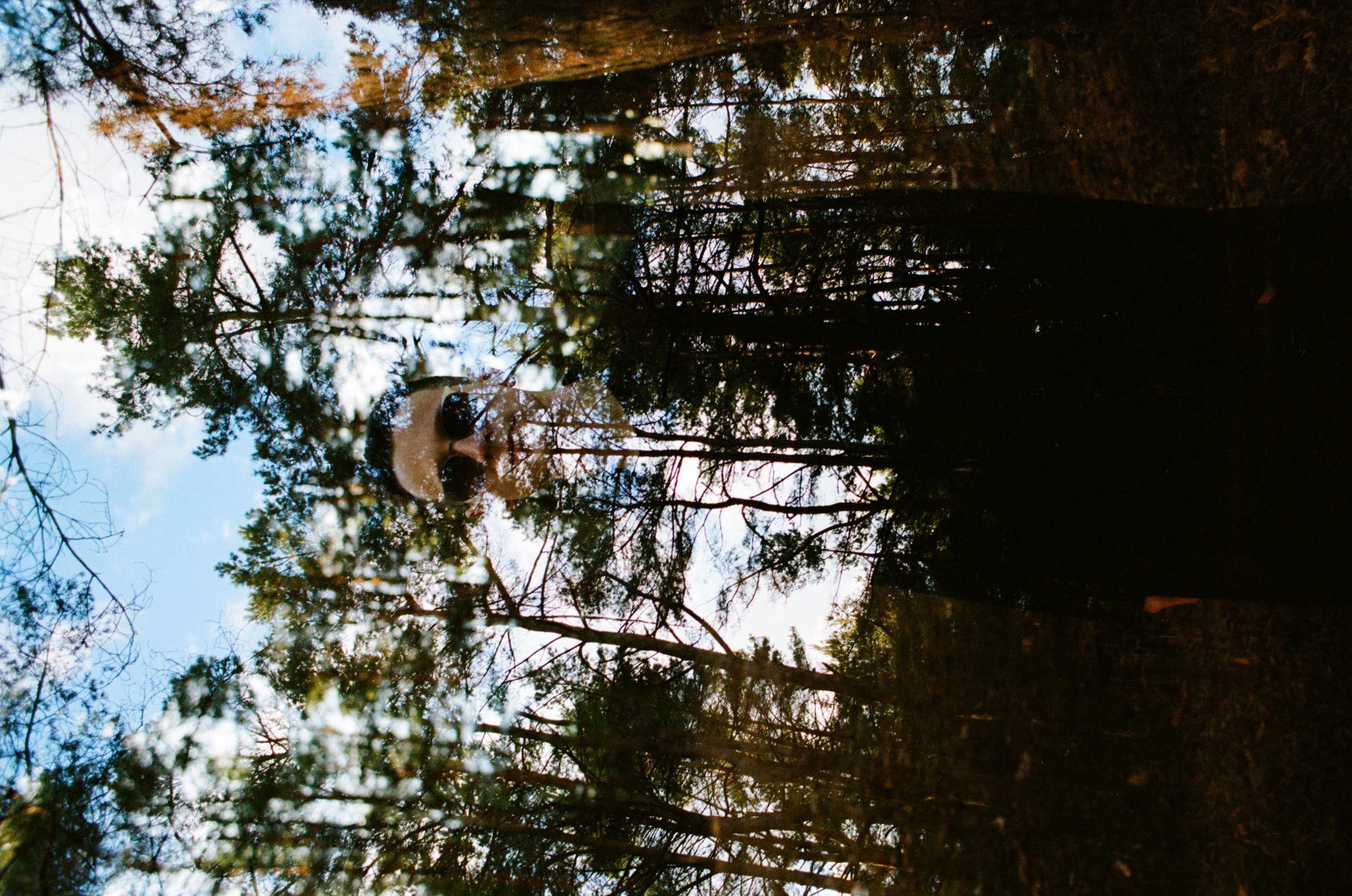 film - 9430d0_3201f07d06554decb0fa375cbb8b4f6e~mv2.jpg