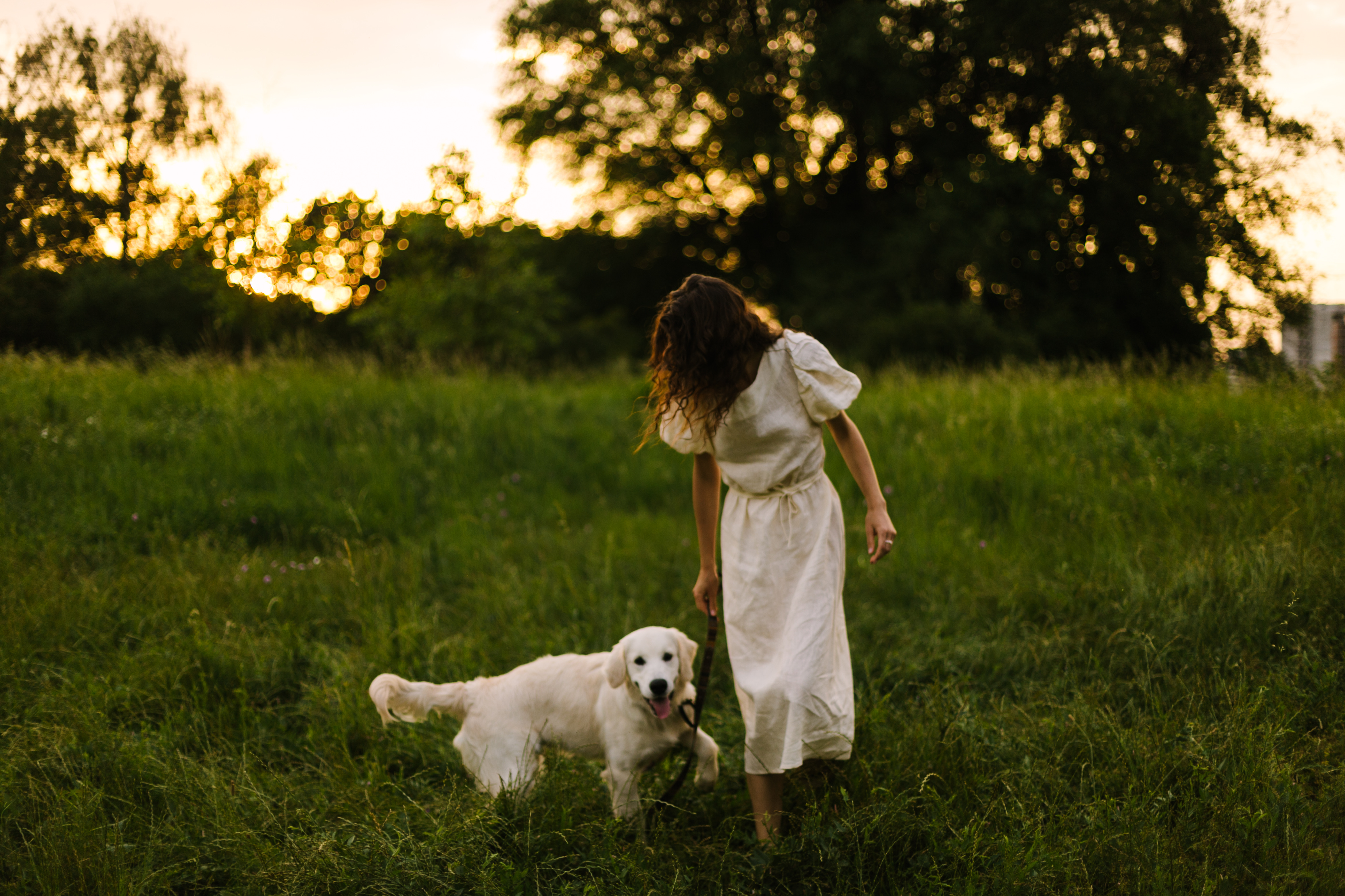 home - 9430d0_5c225b243a5b4dac9775501896145529~mv2.jpeg